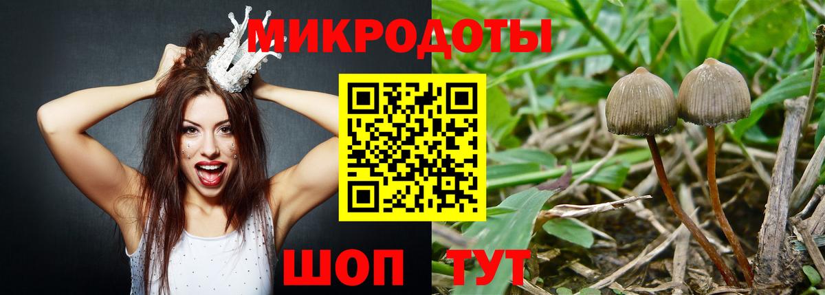 Тавда  Псилоцибиновые грибы ЛСД  Вход с VPN 